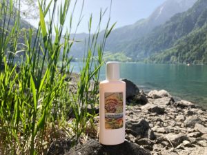 7588e913-e045-4ee8-9fab-345ba0ca798a